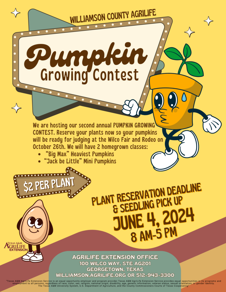 Pumpkin Plant Pick Up Flyer (5)