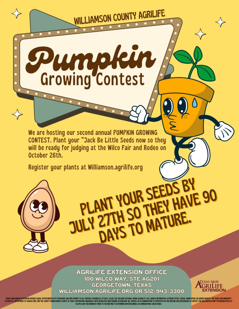 Pumpkin Growing Contest